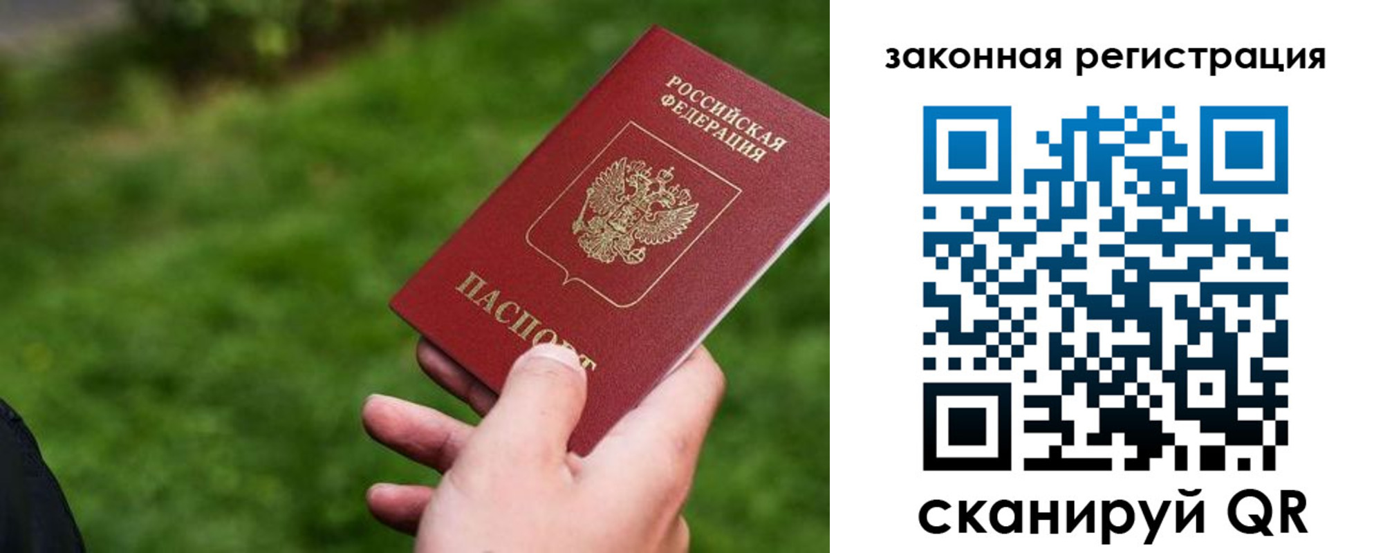 прописка законно в Щёкино